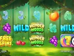 Wonder Woods